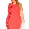 Asoph Plus Size Textured Side Ruffle Dress