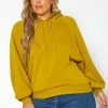 Plus Size Solid Hooded Sweater