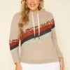 Plus Size Multi Striped Hooded Sweater