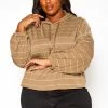 Plus Size Striped Hooded Sweater
