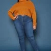 Vibrant Plus Size High Waist Skinny Denim Jean