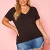 Plus Size V Neck Short Sleeve Top