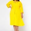 Plus Size Bow Collar Pleated Fit & Flare Dress