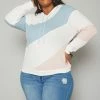 Plus Size Color Block Ribbed Hooded Sweater