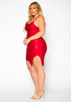 Plus Size Tassel Hem Bodycon Mini Dress -Asoph Sales Shop 2021177 001 3