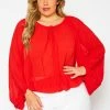 Plus Size Chiffon Dolman Sleeve Blouse