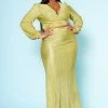 Plus Size Metallic Pleated Two Piece Set
